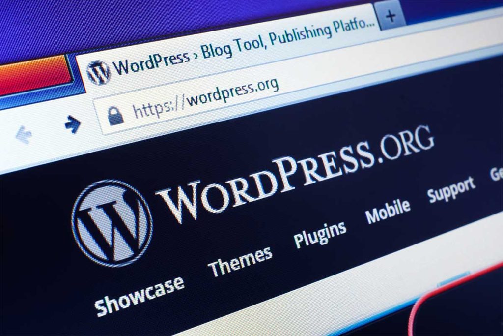 10 Years of WordPress